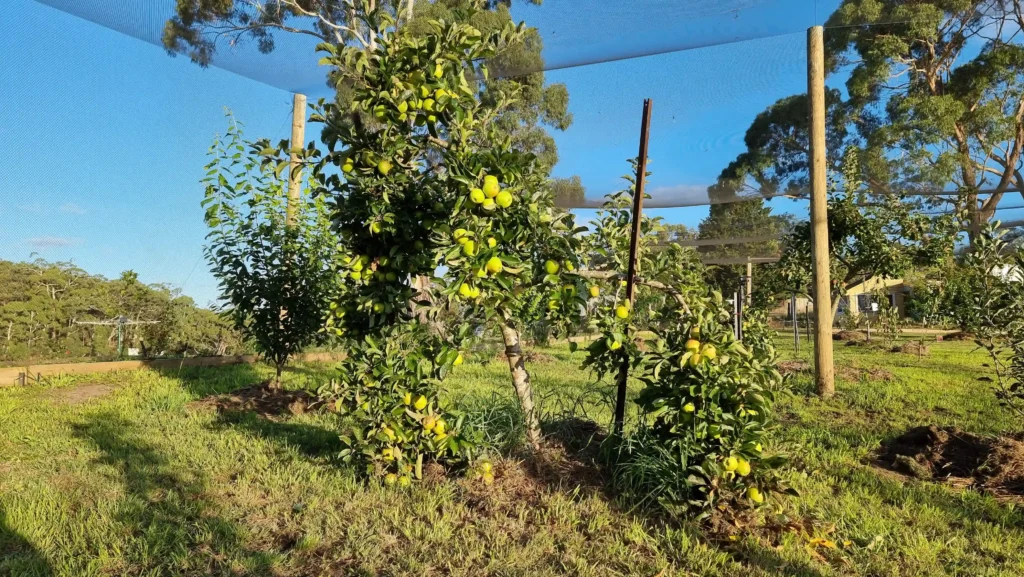 EXPERIENCE - Krishna Valley
